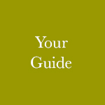Your Guide