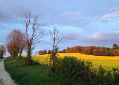 The Hoffman French Retreat