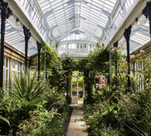 Conservatory at Hoffman Process venue Broughton Hall
