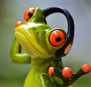 Coulorful frog wearing headphones