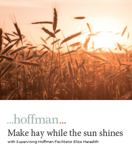 Make hay whle the sun shines worksbook