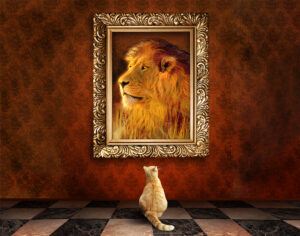 Cat looking at a lion