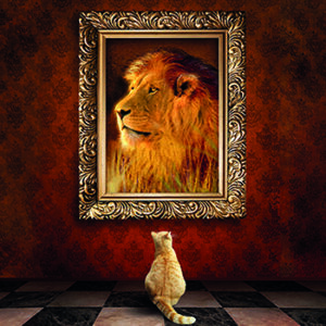 Cat looks at lion Hoffman Living Your Process