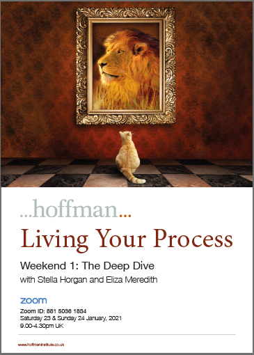 Living Your Process Deep Dive colour