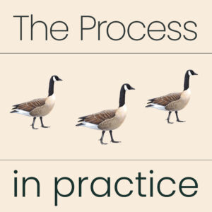 Process in Practice