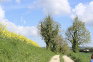 French Retreat walk