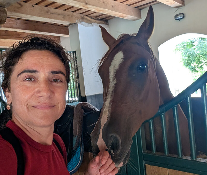 A whole new perspective, by Raluca Lupu